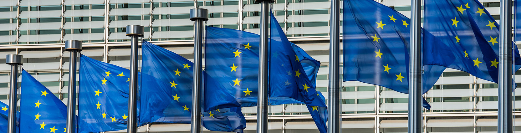 BVR Carousel Image 2