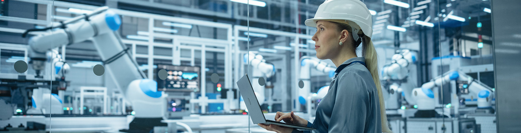 BVR Carousel Image 0